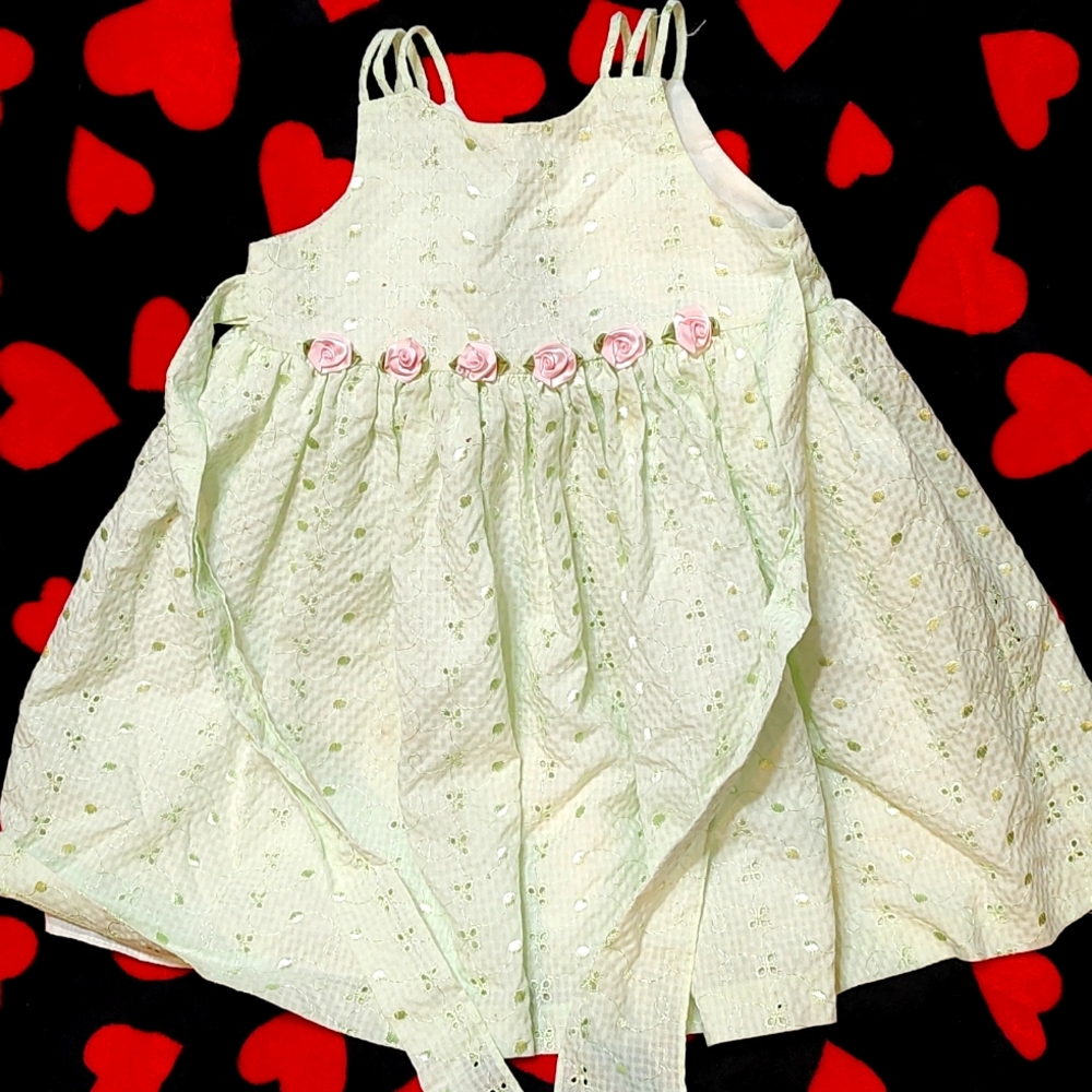 4T Girls Dress Easter Spring Pastel Green Pink Roses